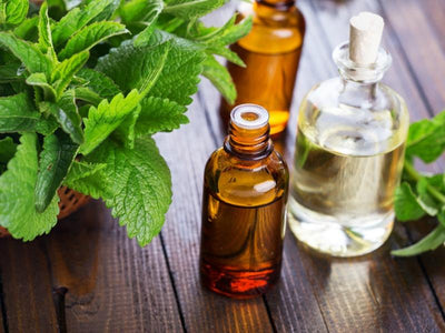 Aromatherapy Focus - Peppermint Oil