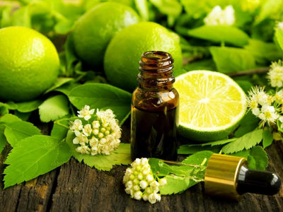 Lime Oil - Aromatherapy Focus