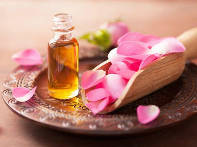 Rose Oil - Aromatherapy Focus